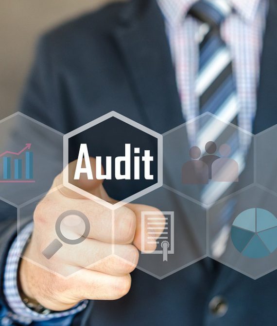 website_audit